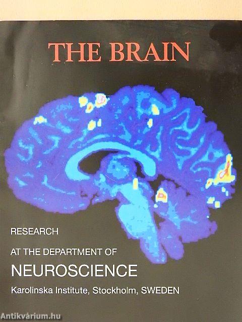 The Brain
