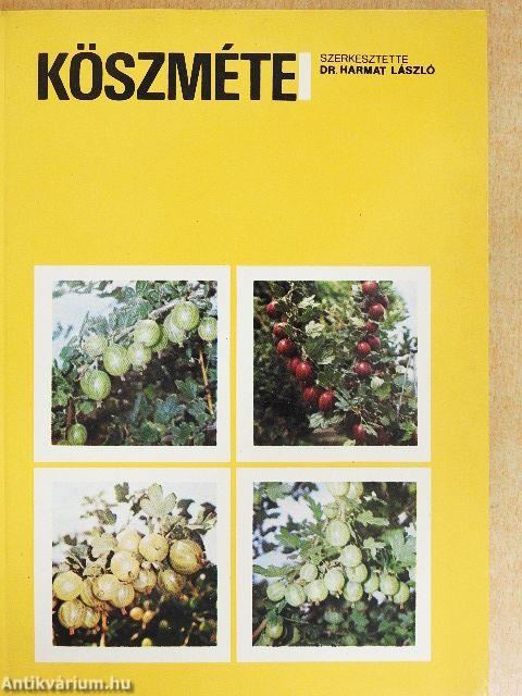 Köszméte