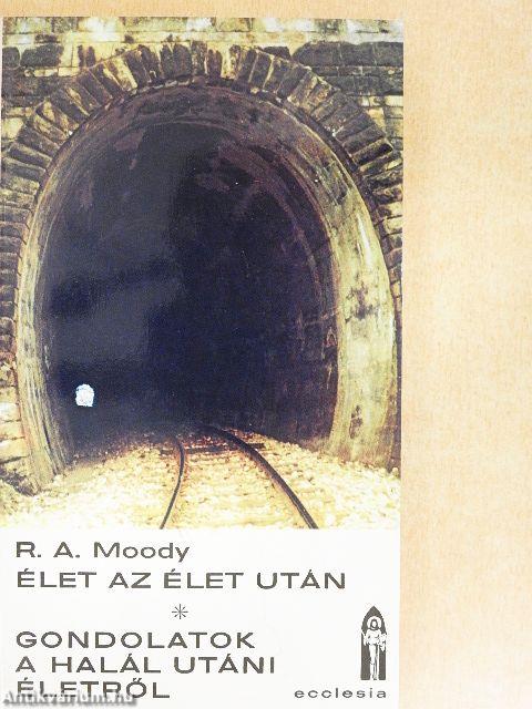 Élet az élet után/Gondolatok a halál utáni életről