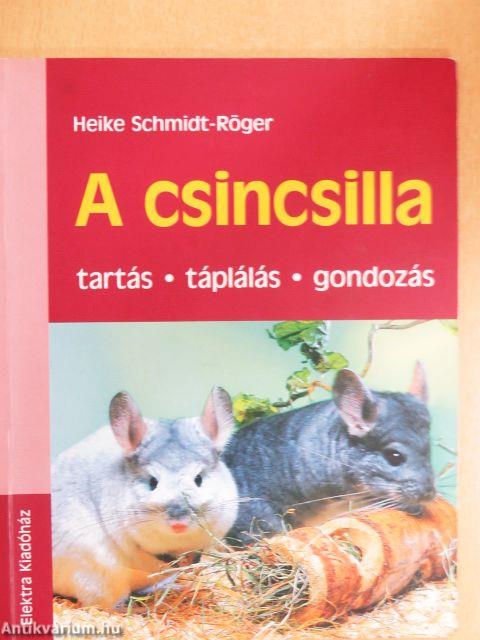 A csincsilla