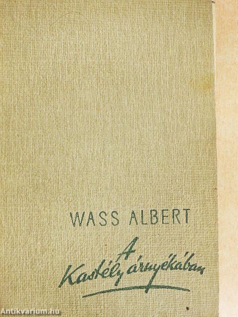 A kastély árnyékában