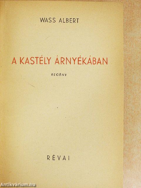A kastély árnyékában