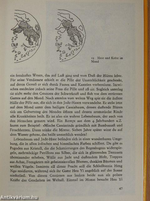 Als die Sterne Götter waren
