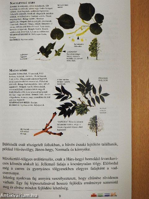 Gördülő tanösvény