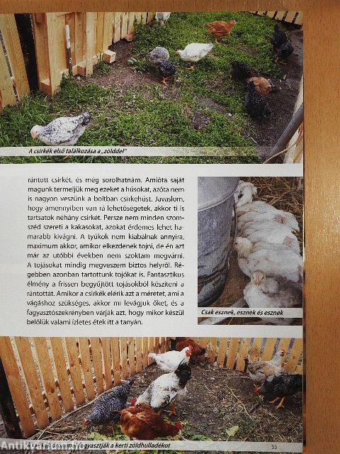 Én kis kertem 2.