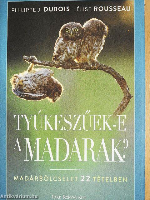 Tyúkeszűek-e a madarak?
