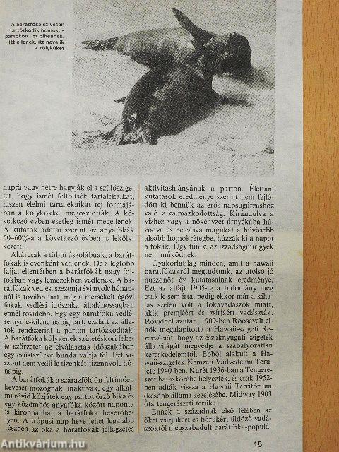 Az erdő leányai