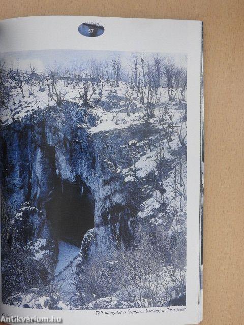 Plitvicei tavak