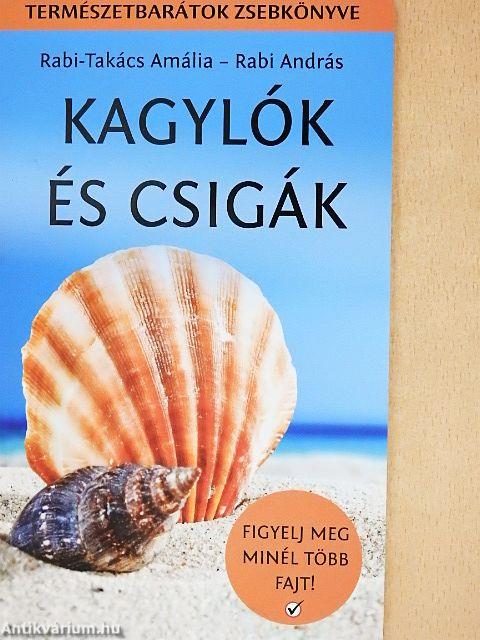 Kagylók és csigák