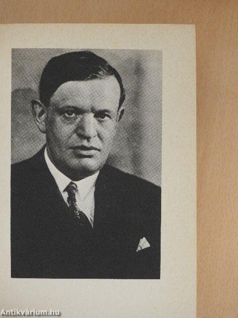 Szavak pergőtüzében