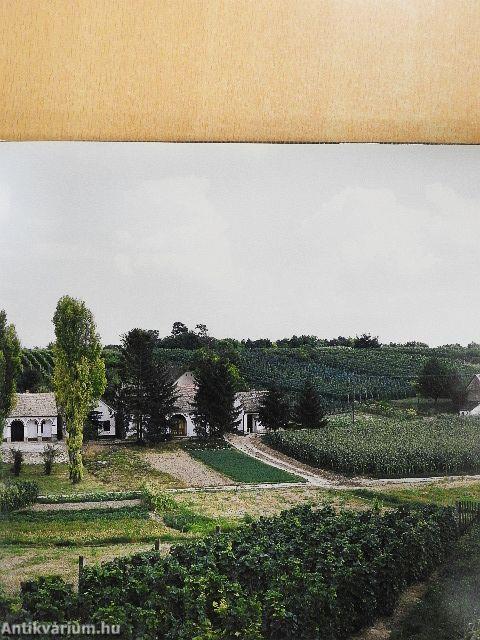 A pécsi borvidék