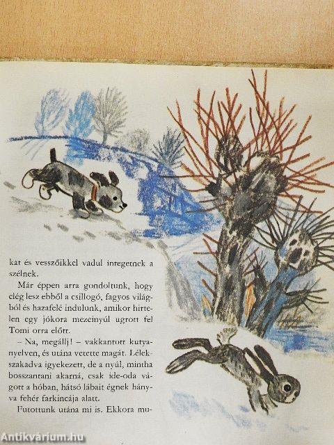 Ali csacsi és a többiek