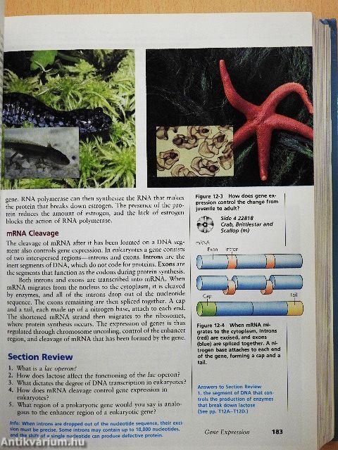 Modern Biology