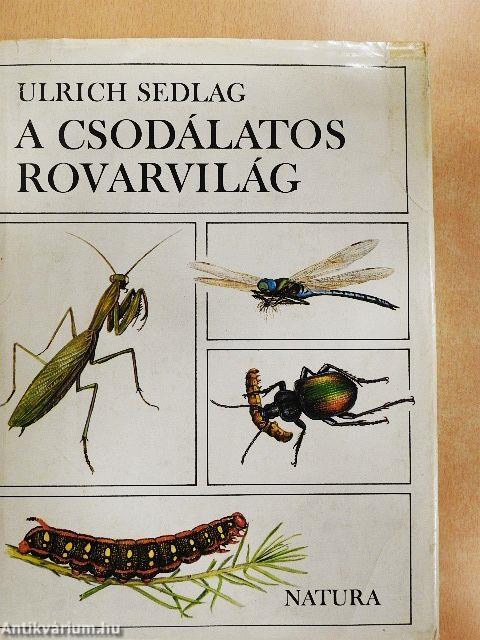 A csodálatos rovarvilág
