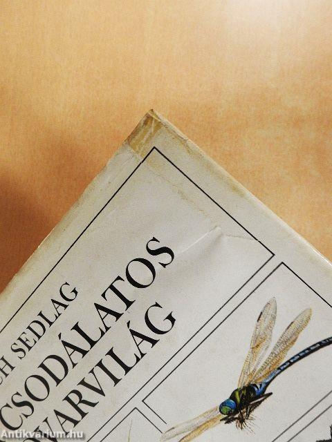 A csodálatos rovarvilág