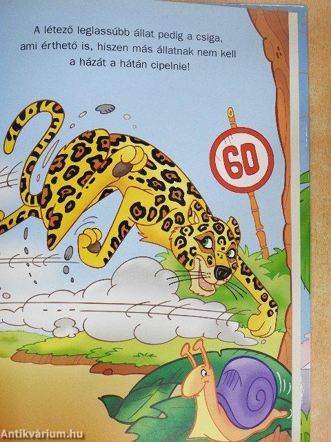 A Föld