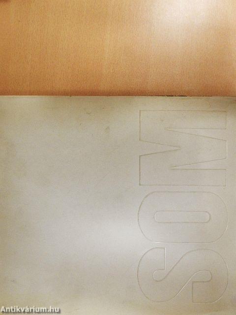 Representative Projects of Som