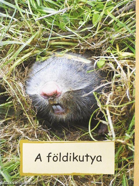 A földikutya