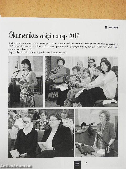 Új szőlőskert 2017/1.