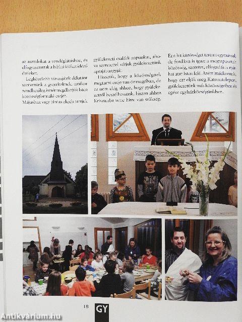 Új szőlőskert 2017/1.