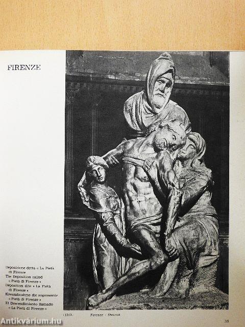 Tutto Michelangelo