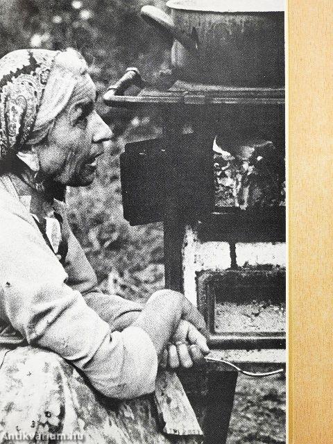 Cigány népballadák és keservesek