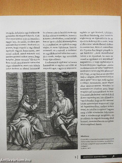 Új szőlőskert 2017/03.