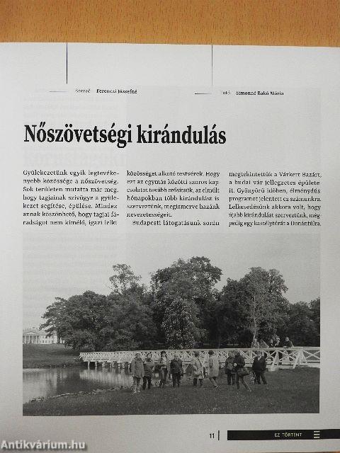 Új szőlőskert 2017/02.