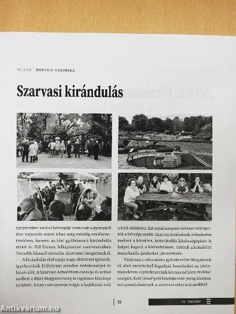 Új szőlőskert 2019/04.