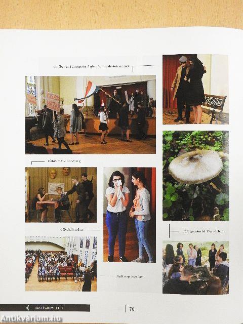 Új szőlőskert 2019/04.