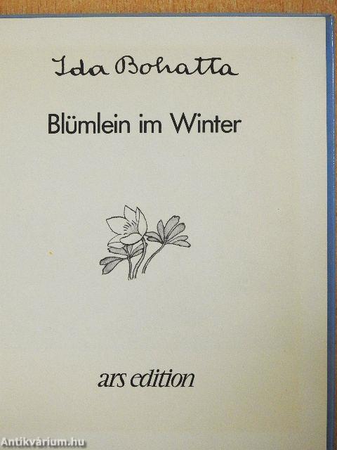 Blümlein im Winter