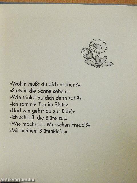 Blümlein im Winter