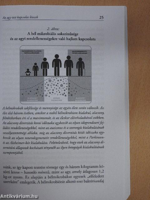 A bél-agy kapcsolat