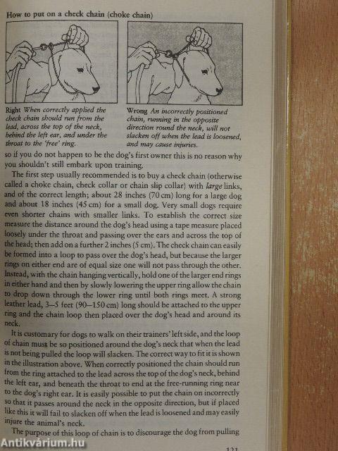 The Dog Care