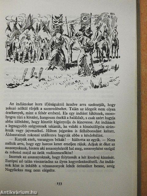 Az Ezüst-tó kincse