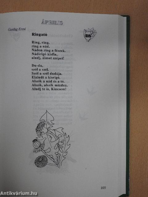 Minden napra egy vers
