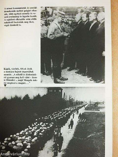 Nürnberg 1946