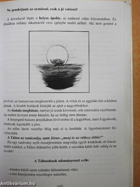 Nagy Táltoskönyv
