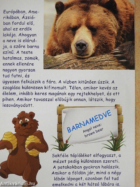 Állatkertek lakói