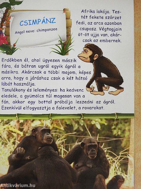Állatkertek lakói