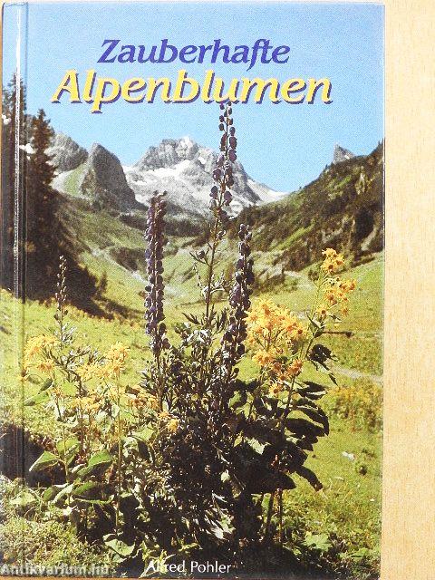 Zauberhafte Alpenblumen