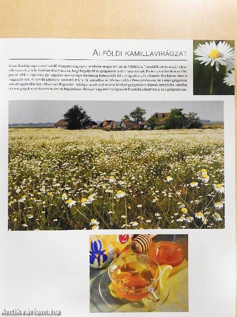 Hungarikumok könyve