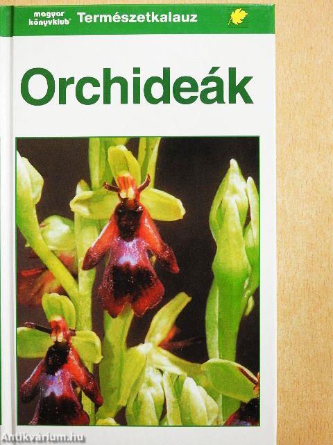 Orchideák