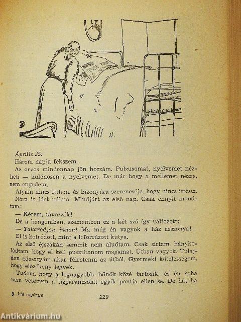 Ida regénye