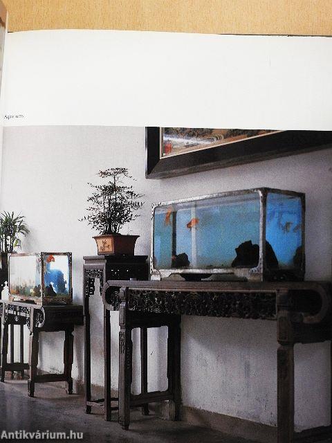 Chinese Goldfish