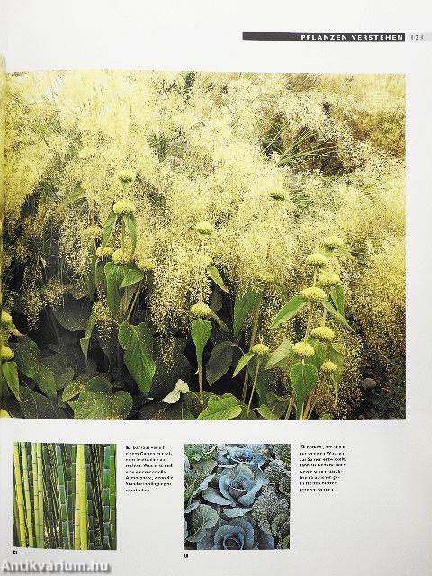 Garten-Ideen