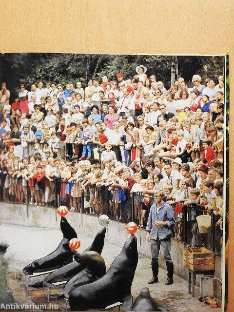 Zoofotografie