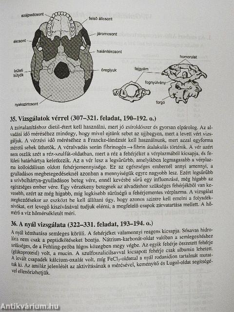 Problémafeladatok biológiából
