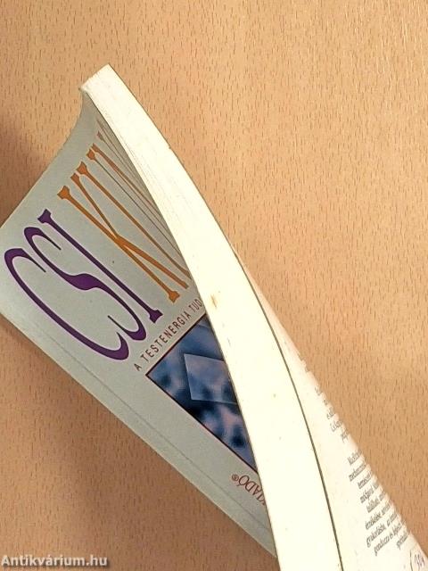 Csi Kung