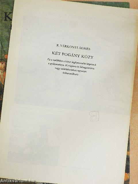 Két pogány közt